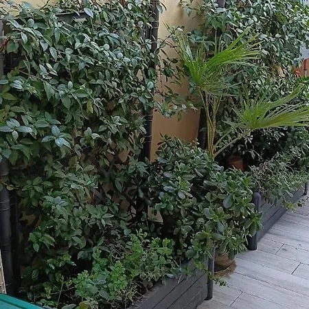 La Terrazza Della Nonna Semesterbostad *